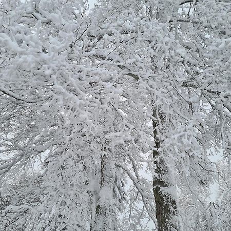 브라운라제 Bergbutzen Mit Balkon 아파트 외부 사진