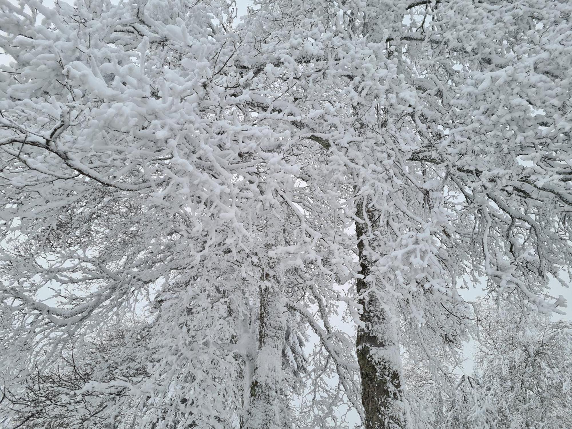 브라운라제 Bergbutzen Mit Balkon 아파트 외부 사진
